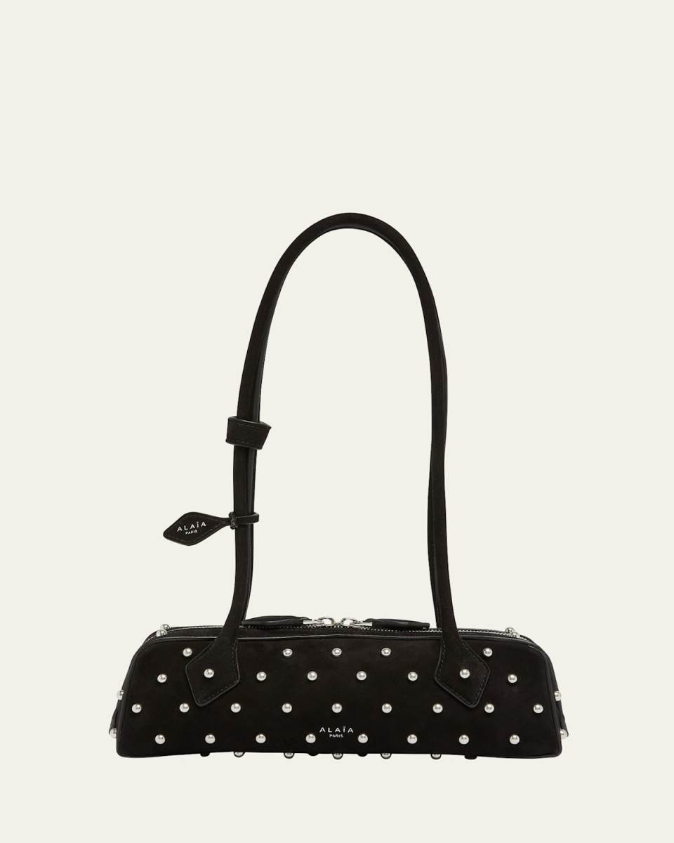 Le Teckel Small Shoulder Bag in Studded Suede